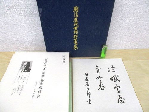 历史 日文书 外文原版